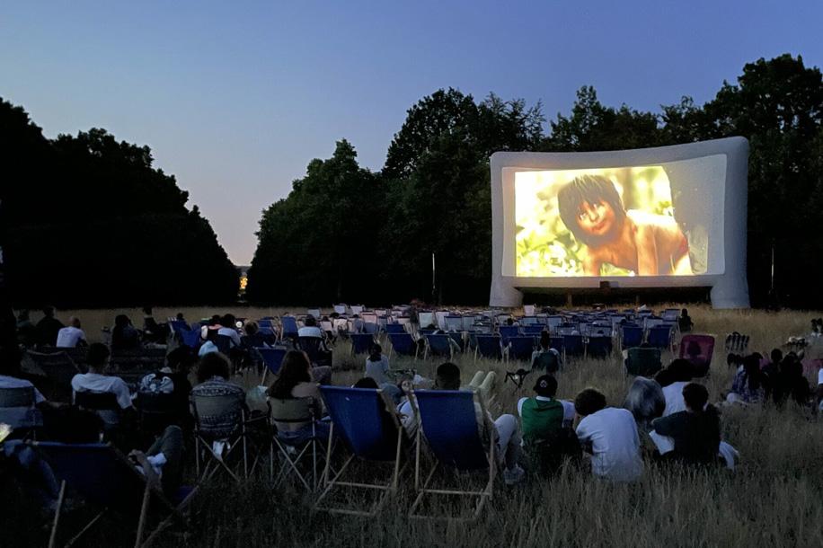 Branches et cine
