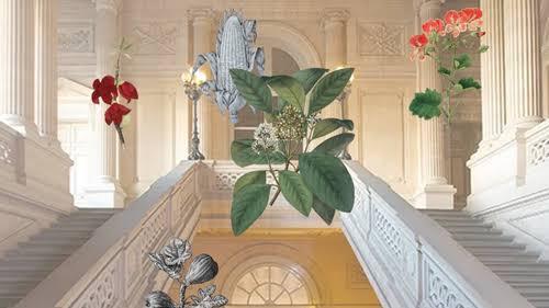 Images 3 2